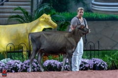 A103164-28858 A103164-28858