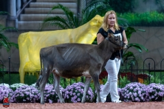 A103171-28859 A103171-28859