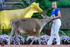 A103190-28861 A103190-28861