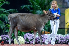 A103191-28862 A103191-28862