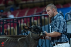 A103202-28863 A103202-28863