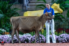 A103206-28864 A103206-28864