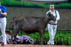 A103213-28865 A103213-28865