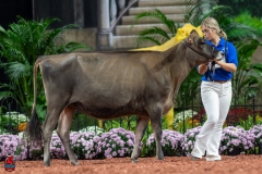 A103821-29115 A103821-29115