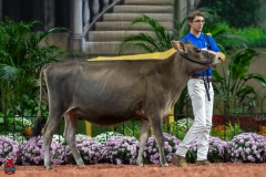 A103830-29116 A103830-29116