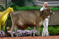 A103848-29117 A103848-29117