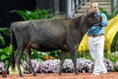 A103872-29119 A103872-29119