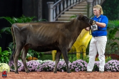 A103893-29120 A103893-29120