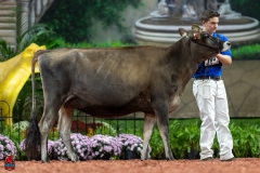 A103912-29121 A103912-29121