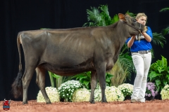 A103920-29122 A103920-29122