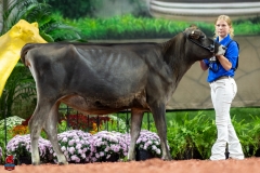 A103929-29123 A103929-29123