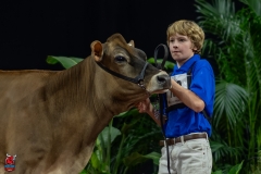 A103988-29128 A103988-29128