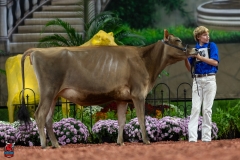 A103993-29129 A103993-29129