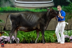 A104013-29130 A104013-29130