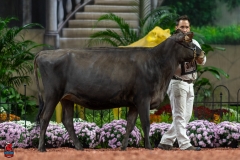 A104018-29131 A104018-29131