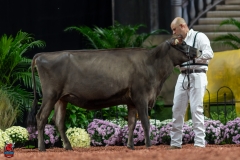 A104032-29132 A104032-29132