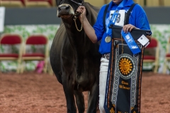 A104086-29138 A104086-29138