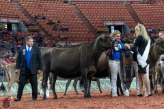 AR300758-29134 AR300758-29134