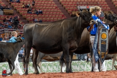 AR300762-29135 AR300762-29135