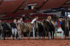 AR300764-29136 AR300764-29136