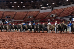 AR300768-29137 AR300768-29137