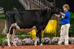 A109789-28490 A109789-28490