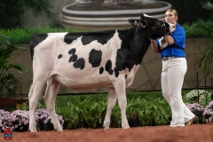 A109800-28492 A109800-28492