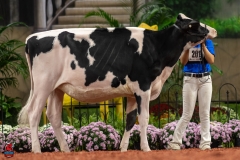 A109825-28494 A109825-28494