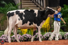 A109834-28495 A109834-28495