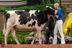 A109844-28496 A109844-28496