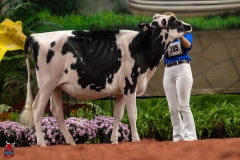 A109849-28497 A109849-28497