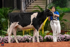 A109857-28498 A109857-28498