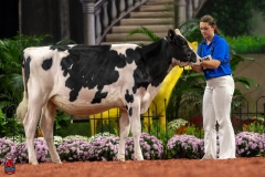 A109878-28500 A109878-28500