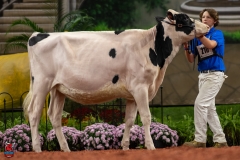 A109893-28501 A109893-28501