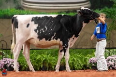 A109907-28502 A109907-28502