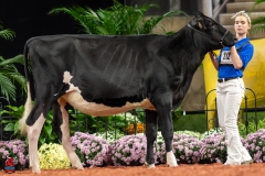 A109915-28503 A109915-28503