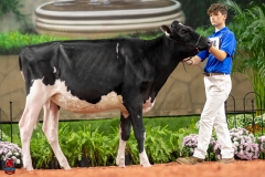 A109933-28506 A109933-28506