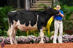 A109934-28507 A109934-28507