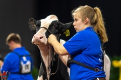 A109955-28509 A109955-28509