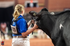 A109961-28511 A109961-28511