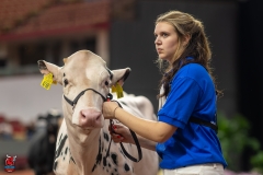 A109967-28513 A109967-28513