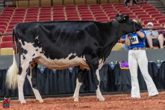 A100640-28607 A100640-28607