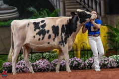 A100659-28609 A100659-28609