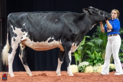 A100663-28610 A100663-28610