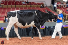 A100669-28611 A100669-28611