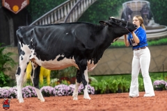 A100674-28612 A100674-28612