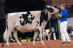 A100688-28614 A100688-28614