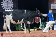 A100695-28615 A100695-28615