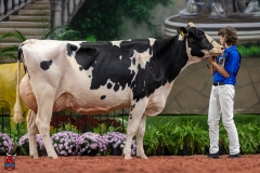 A102368-28762 A102368-28762