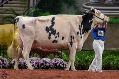 A102386-28763 A102386-28763